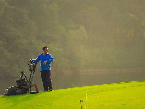 高爾夫球場草坪圖片