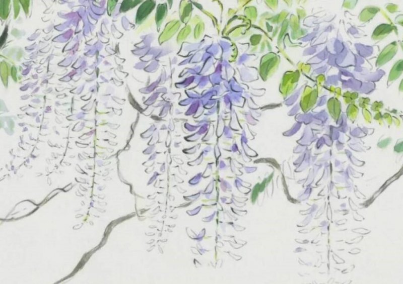 藤本植物 藤本植物